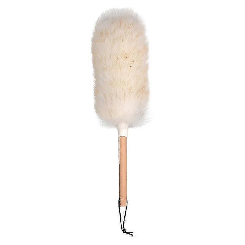 Nuevo techo doméstico Dust Duster Sweeping Duster Household Cleaning And Dusting Gift