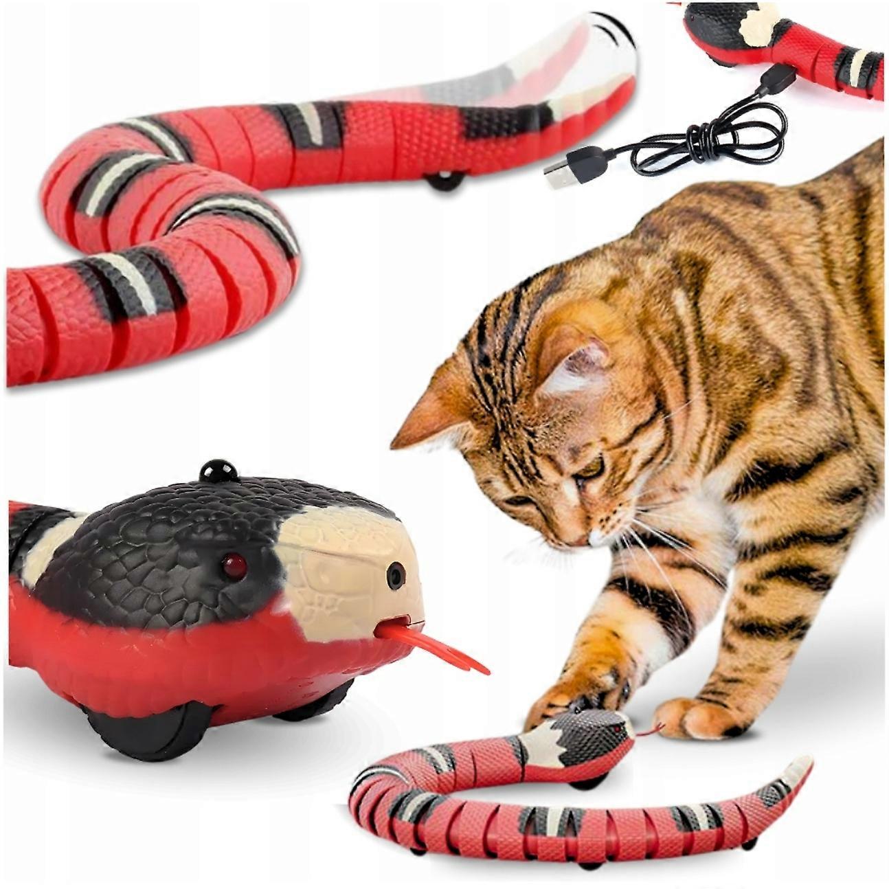 Interactive Toy For A Cat Interactive Snake