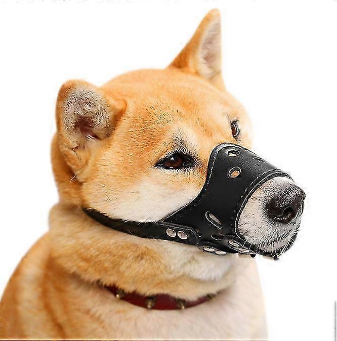Dog Muzzle Anti Biting Barking and Chewing