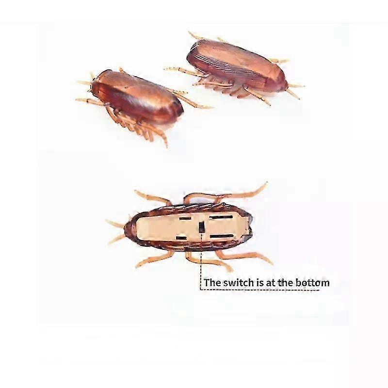 Funny Roach-Like Interactive Toy for Cats & Dogs Realistic Simulation for Play & Training