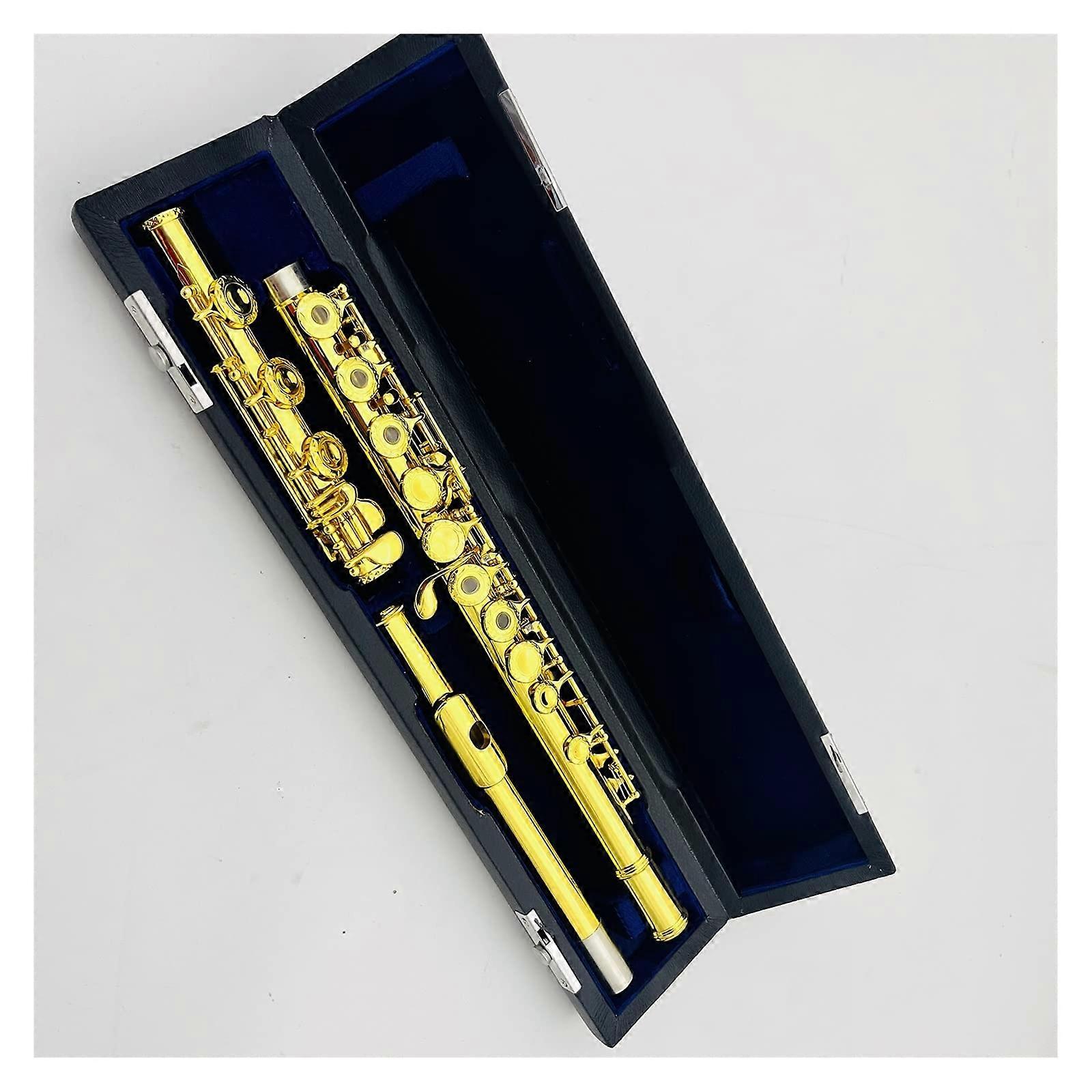 Beginner Open Hole C Flute with Gold Plated 17 Keys and Carrying Case for Students