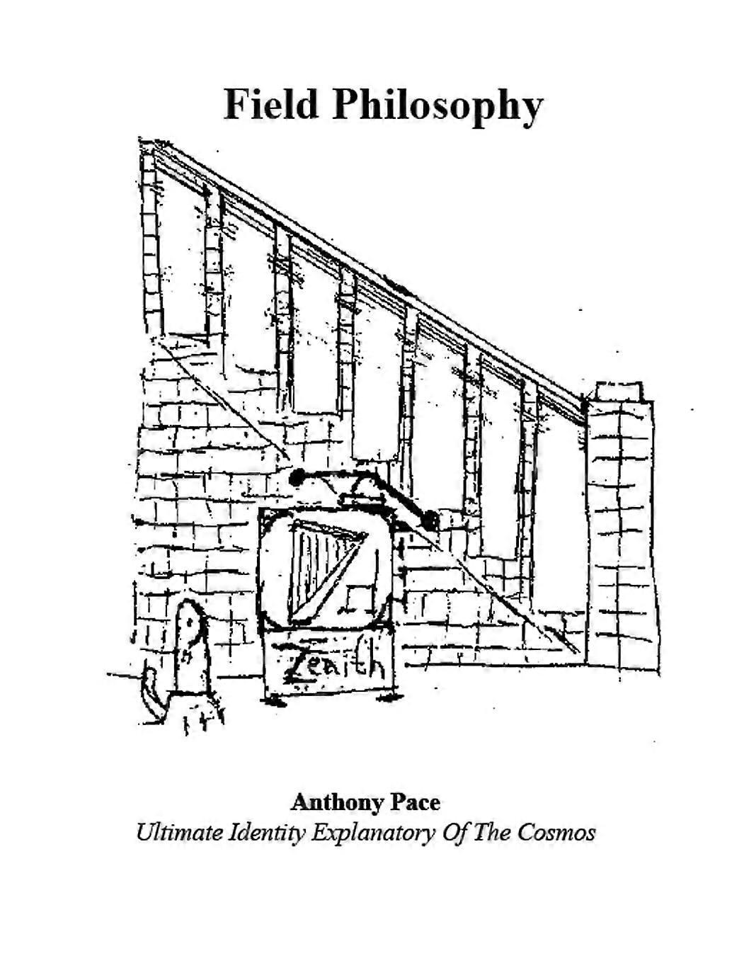 Field philosophy