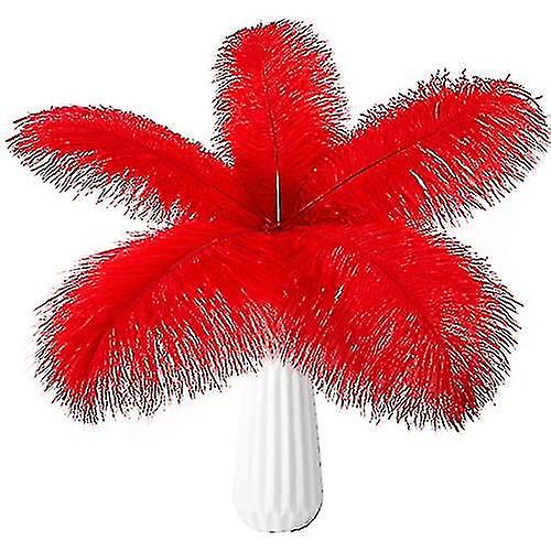 10pcs Ostrich Feathers Natural Bulk