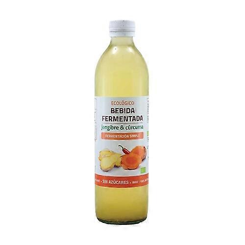 Organic ginger and turmeric fermented drink 500 ml (Ginger - Turmeric)