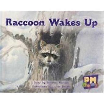 Raccoon Wakes Up - Beverley Randell