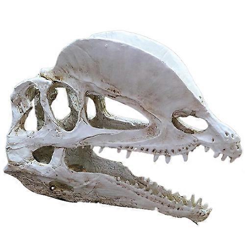 Aquarium Fish Tank Dinosaur Head Skull Ornament Resin Crafts Halloween Props Popular Science Tools