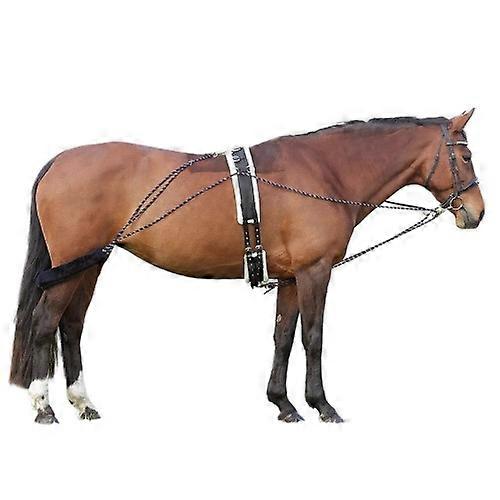 Hy Horse Lunging System