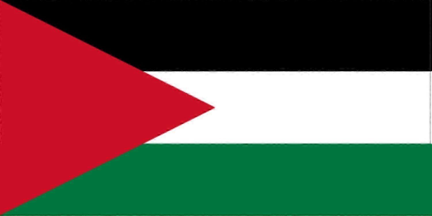 Flag - Palestine - Gaza