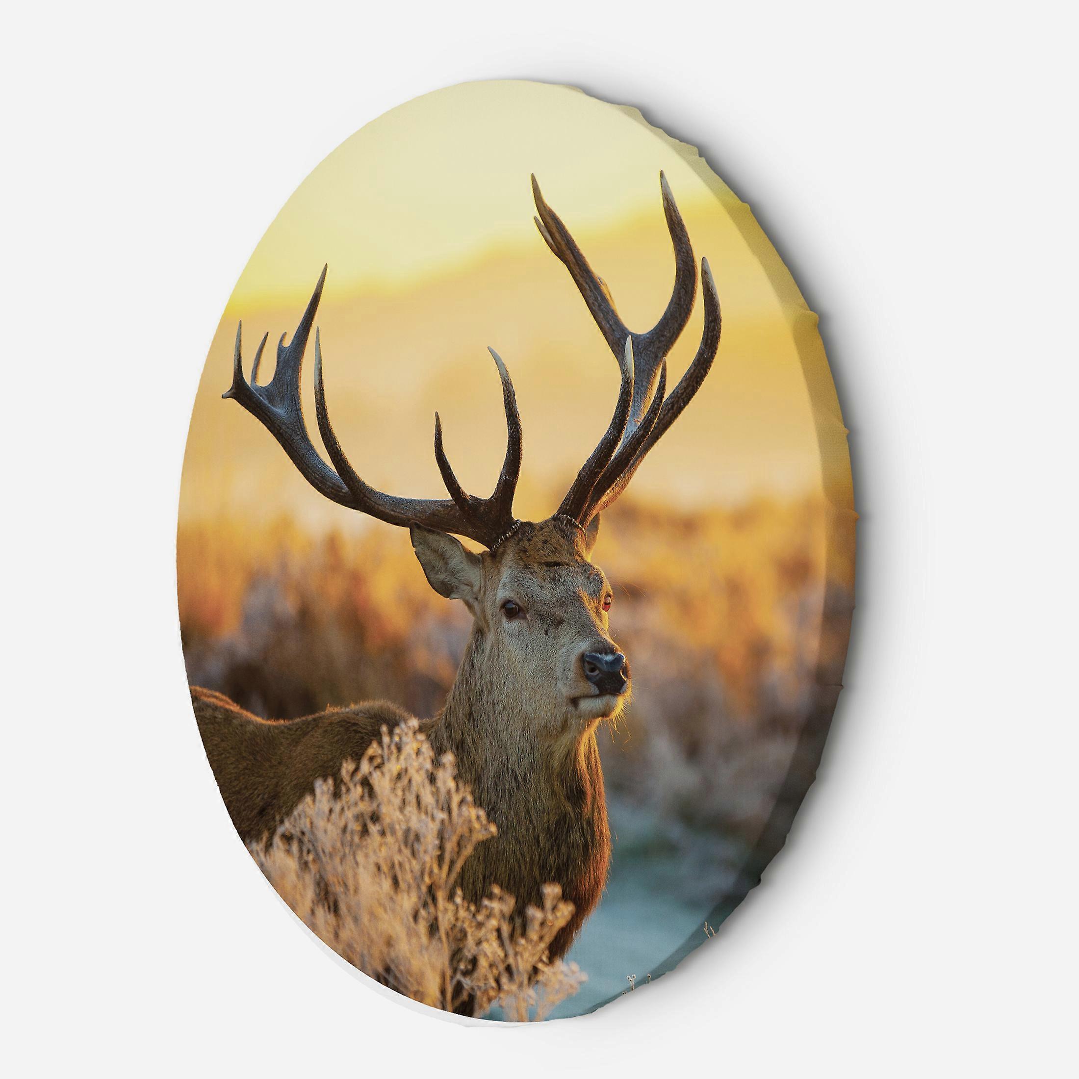 Obraz na plátně, Jelen při západu slunce - 80x80