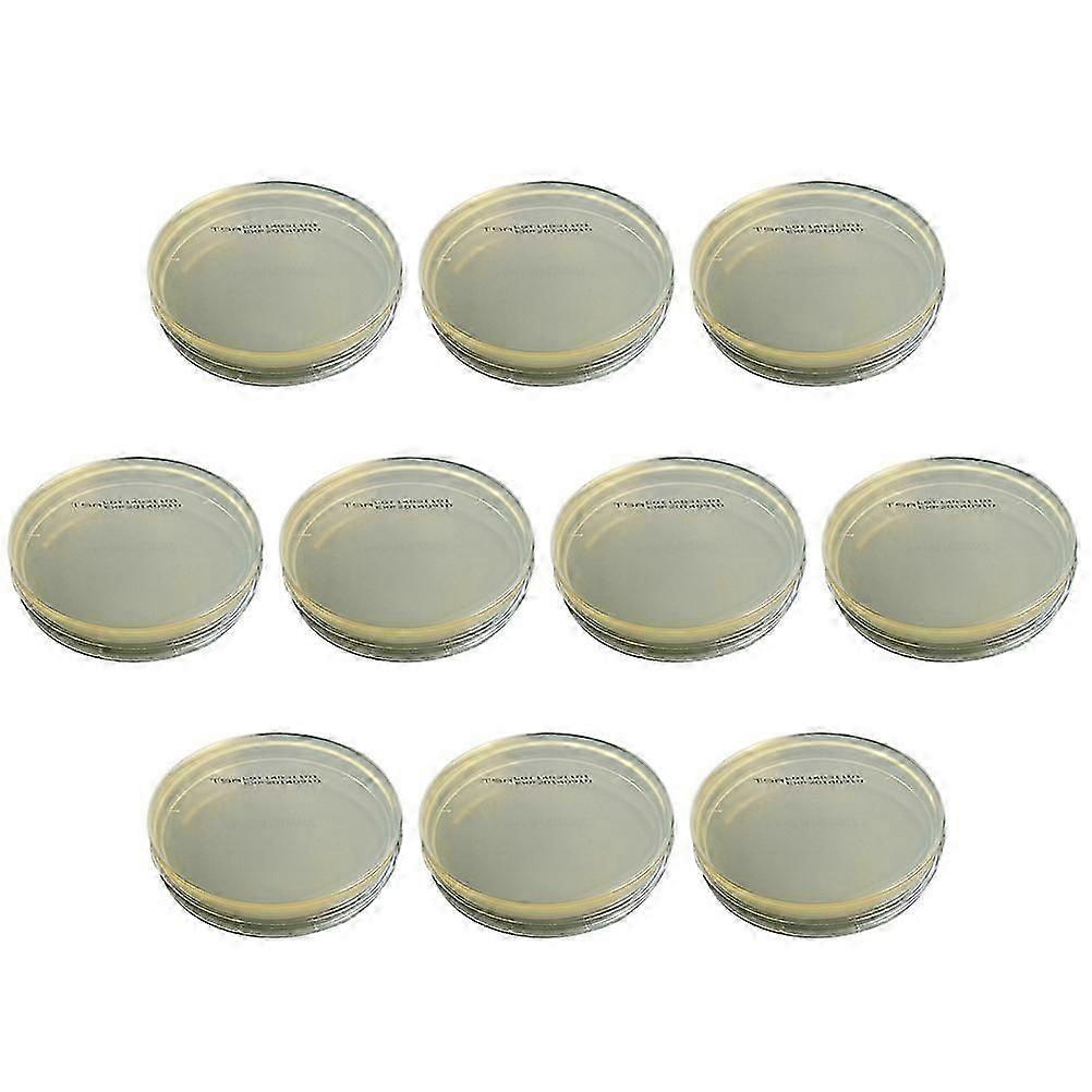 10 Pz Giocattoli Bambini Pipetta di Vetro Piatti di Petri Coperchi Piastre di Petri Agar Agar Polvere