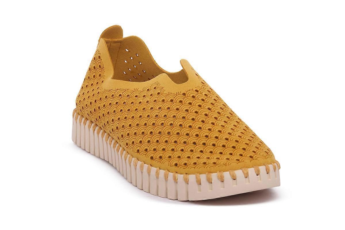 Buty Jacobsen Goro Tulip 3275