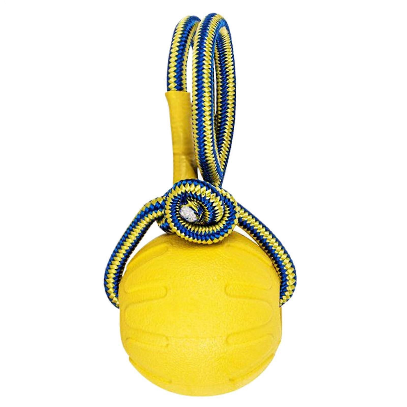 for Dogs, Durable Dog Ball with Handle, Interactive Teething Toy for Puppies, Training Pet Supply
