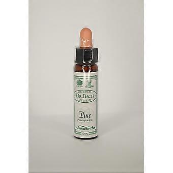 Dr Bach Pine Bach Flower Remedy 10ml - 4 Pack