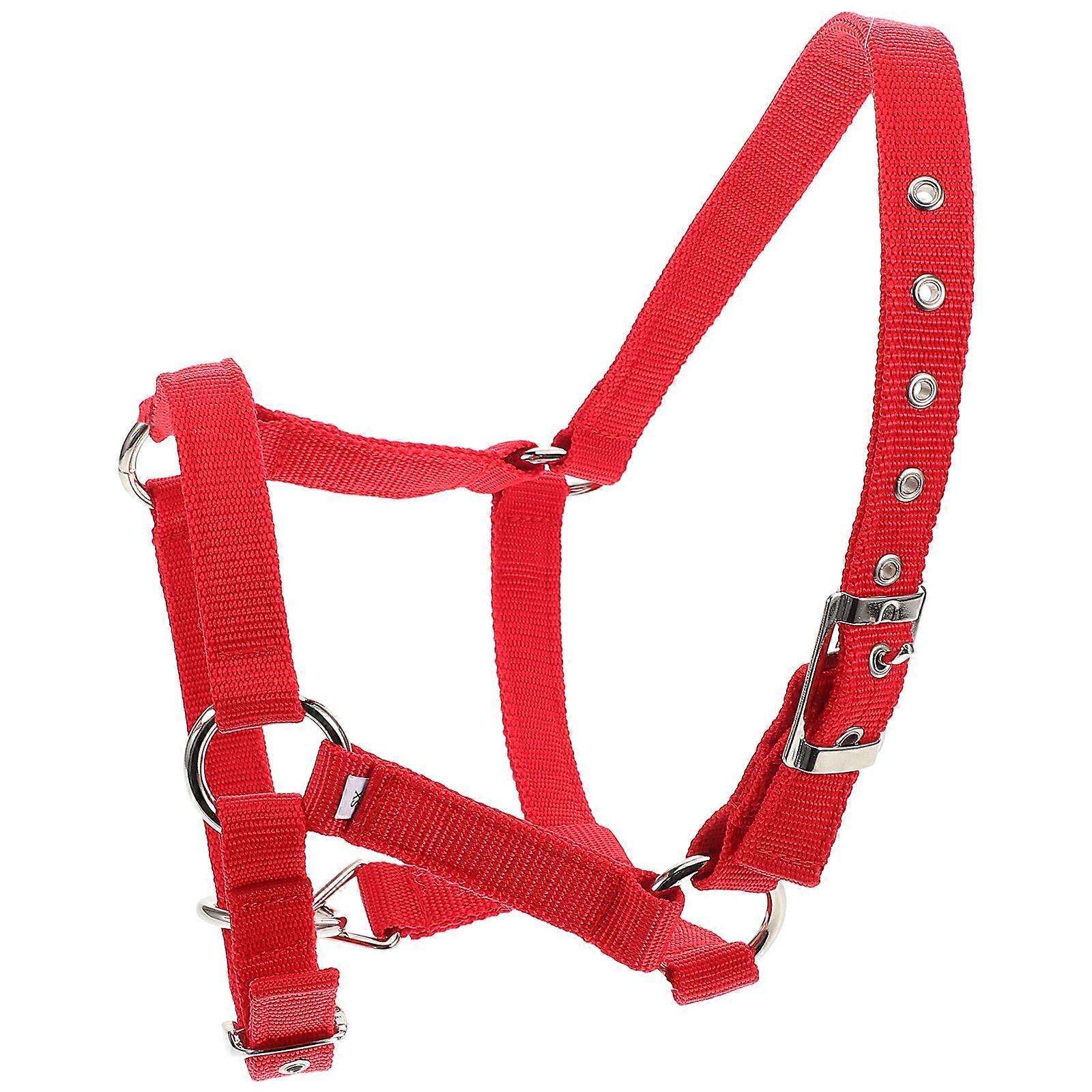 3Pcs Horse Halter And Rope Set Featuring Breakaway Function And Comfortable Nylon Construction For Children Equestrian Training And Performance