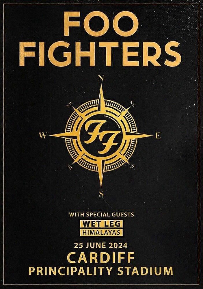 Foo Fighters 2Stress Reliever Jigsaw Puzzle P2586