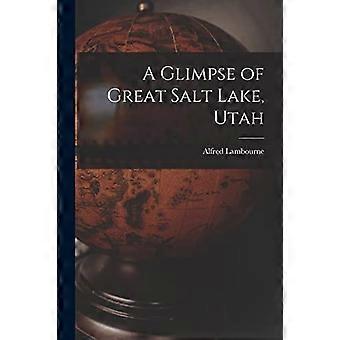 Glimt av Great Salt Lake, Utah