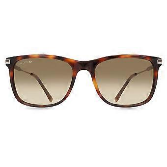 Lacoste L960S 230 Full Rim  Men Square Sunglasses UV2 Original