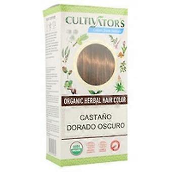 Dark Golden Chestnut 4 packets of 25g