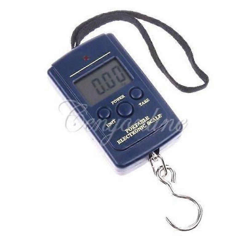 Scale 10g 40Kg fish