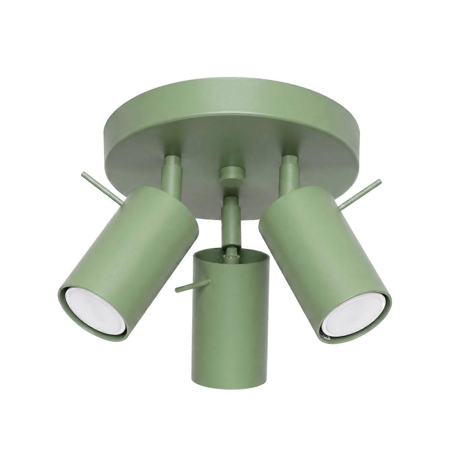 Ceiling lamp RING 3P sage
