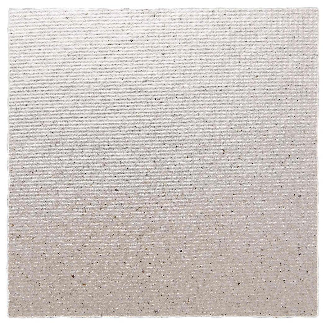 2 X Replacement 12 X 12 Cm Plate Mica Compatible Microwave