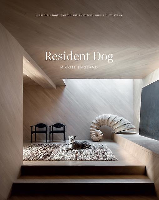 Resident Dog Volume 2 by Nicole England Paperback Book