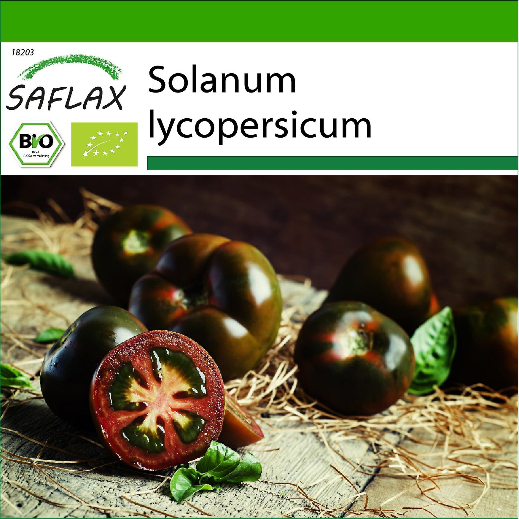 Saflax - 10 frø - Med substrat - Økologisk - Tomat - Sort kirsebær - BIO - Tomate - Cerise noire - BIO - Pomodoro - Sort kirsebær - Ecológico - Tomate - kirsebær negro - Tomate - Sort kirsebær