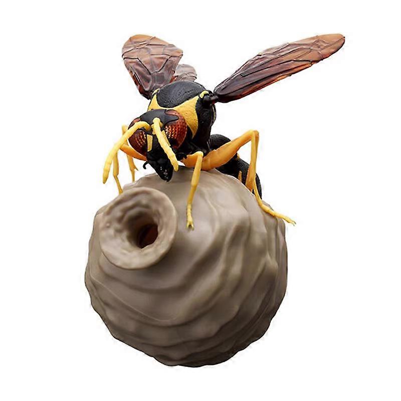 Pre-sell Bandai Japanese Gashapon Egg Big Biological Map Of Hornet ...