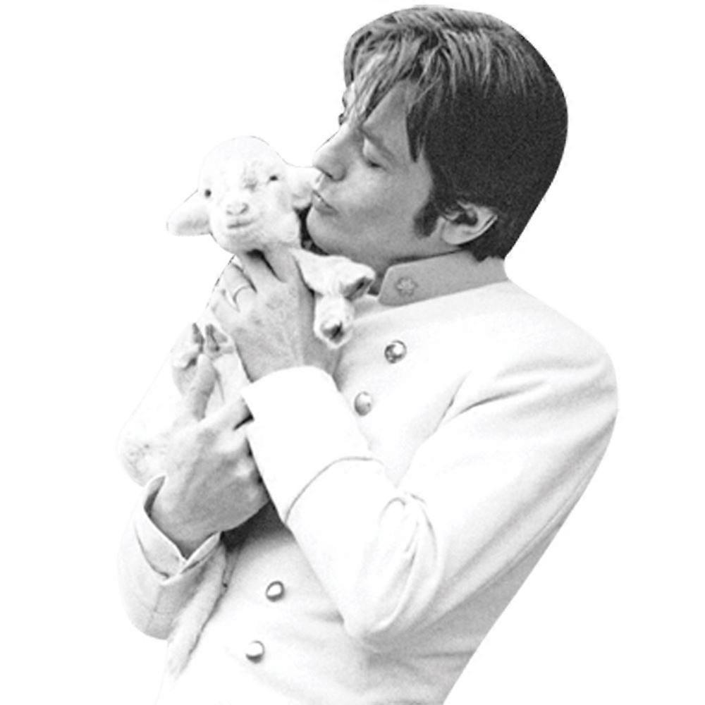 Alain Delon (Lamm) Halvkropps Buddy Cutout