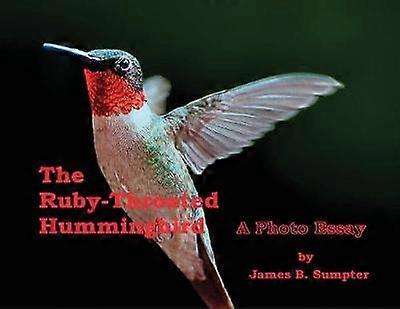 The Rubythroated Hummingbird A Photo Essay
