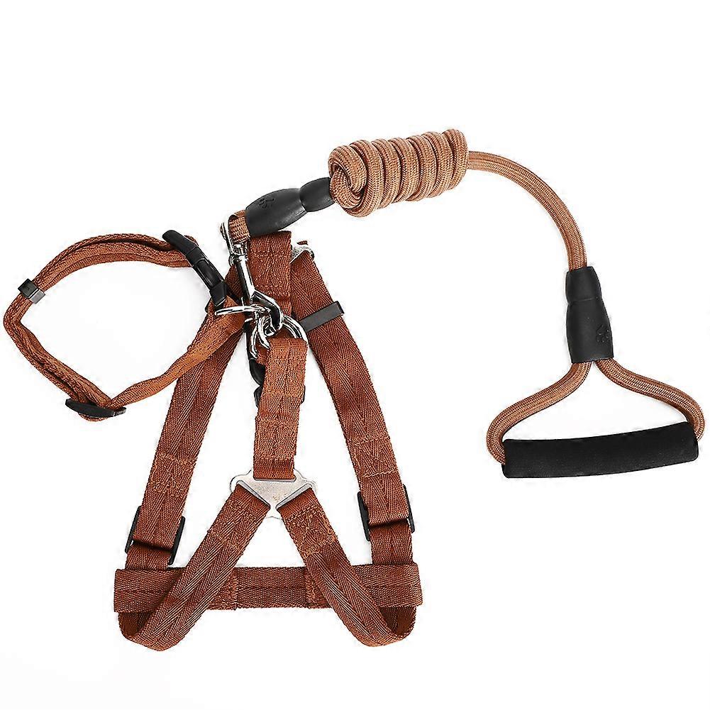Polyester Dog Harness Leash Set for Training, Adjustable Pet Vest with Chest Collar Strap and Traction for Walking