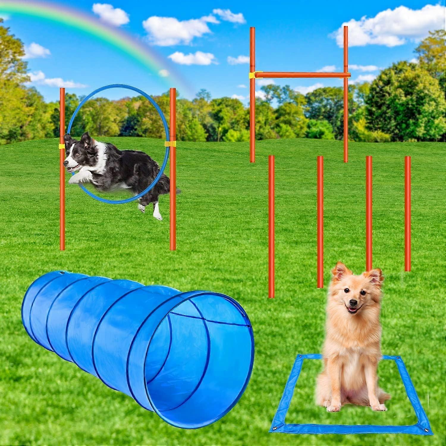 Dog Agility Course Backyard Set, Dog Obstacle Course Training Starter Kit with Tunnel, Hurdle