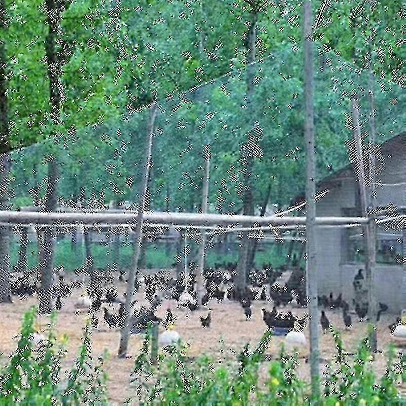 Heavy Anti Bird Netting Net Garden Fence And Crops Protective Fencing Mesh Anti Bird Deer Cat Dog Chicken - POP