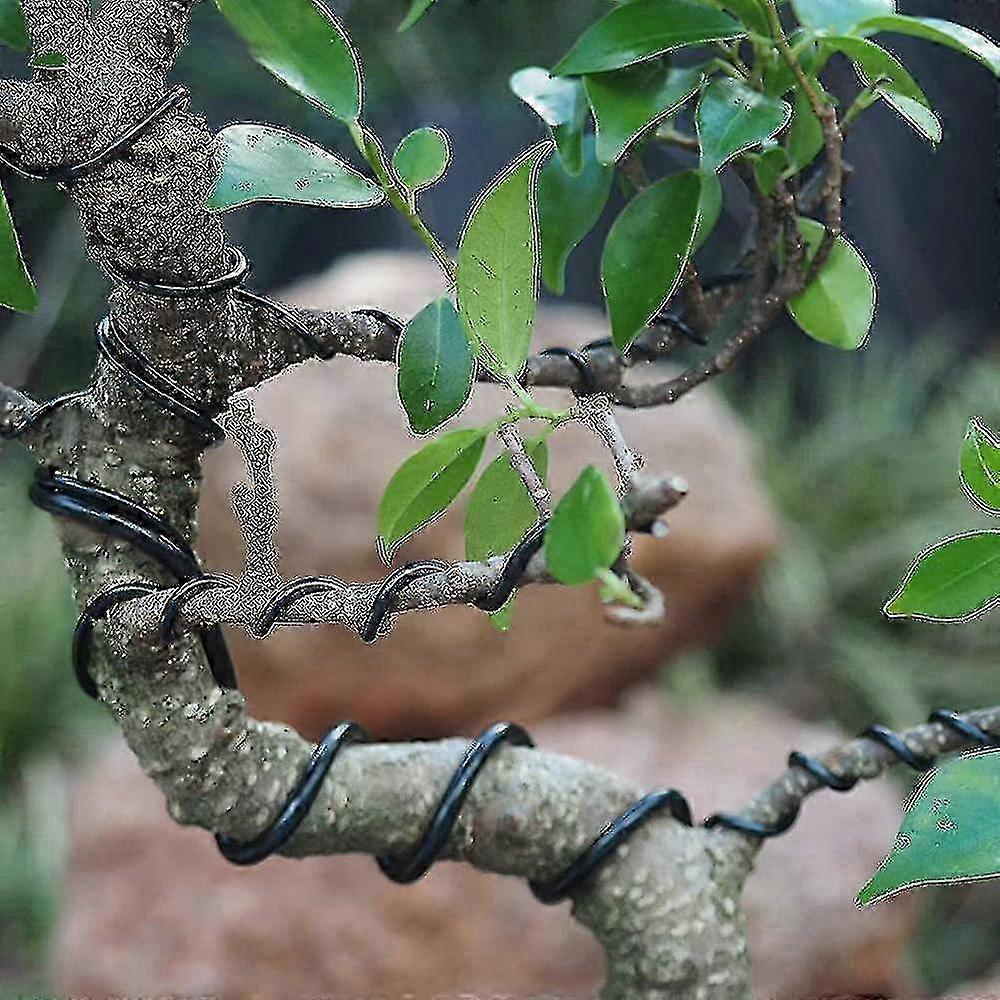 3pack Bonsai Wire for Training Bonsai Trees, available in sizes 1.0mm, 1.5mm, and 2.0mm, perfect for enhancing growth and shaping