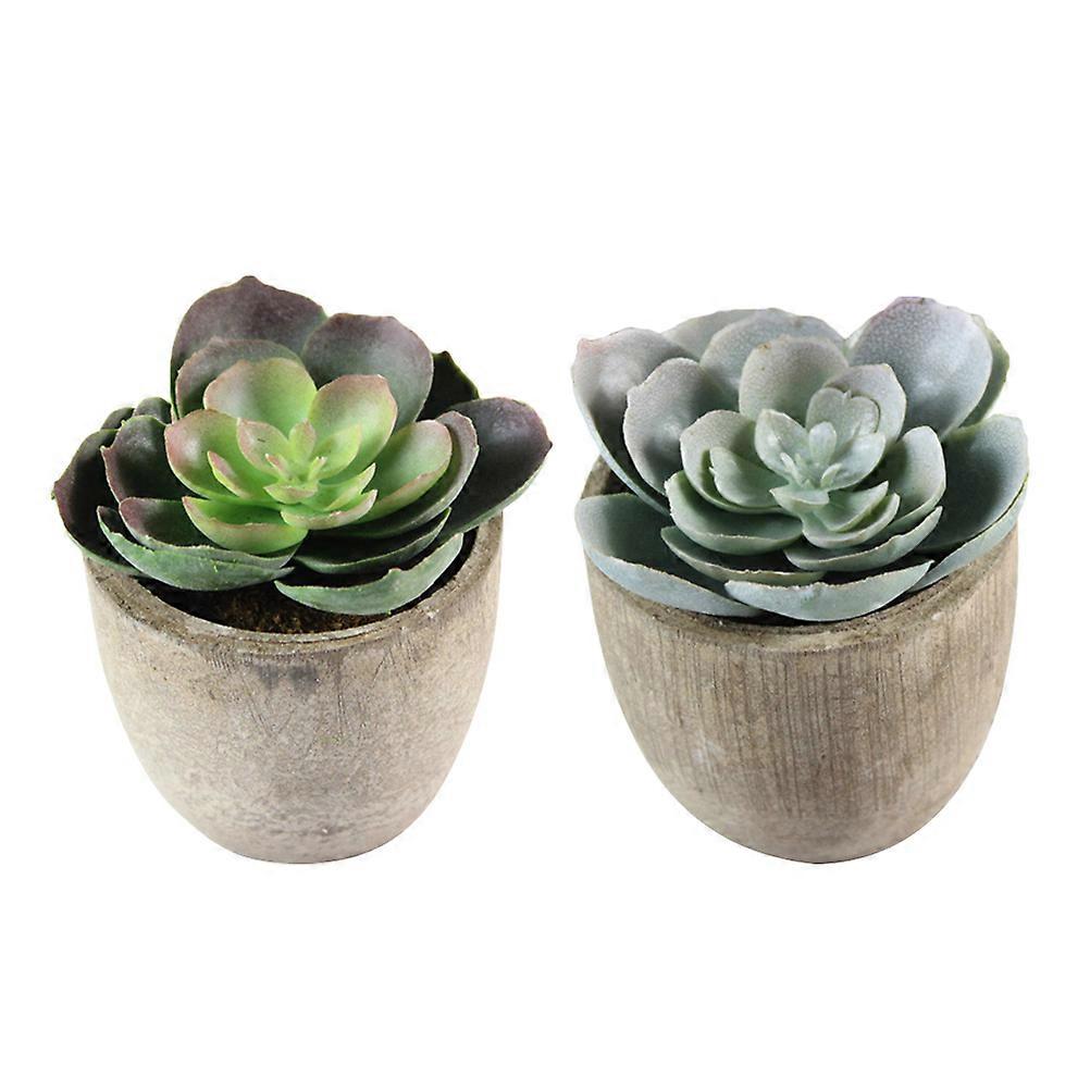 Simulation Succulent Plant for Decoration Use 6Pcs Assorted