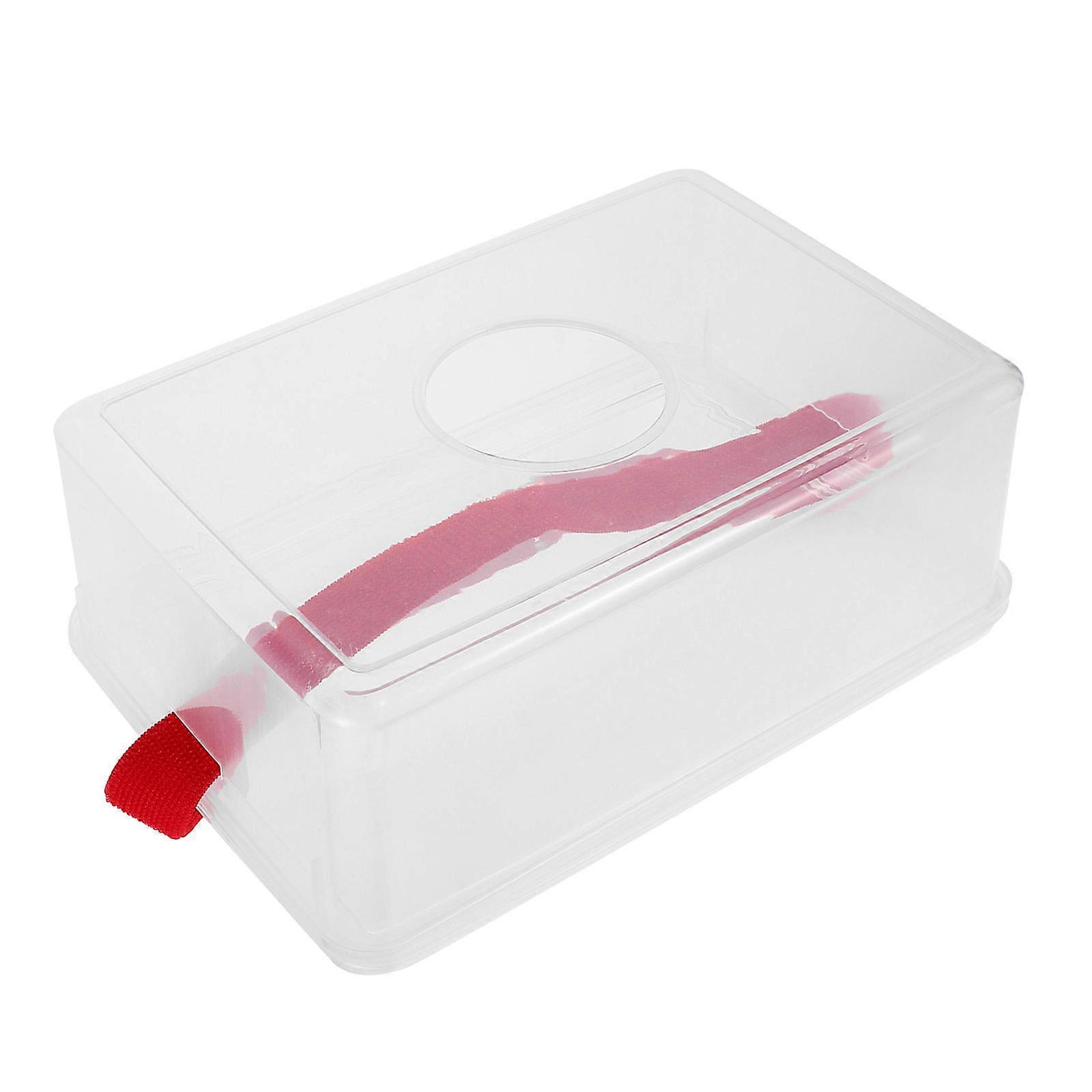 Shaking Ball Game Prop for Party Gymnastics Party Interactive Pong Toy