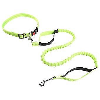 Puppy Collars Puppy Leash Dog Traction Rope Retractable Dog Car Seatbelts Safety Dog Leads Outdoor Pet Leash-zy