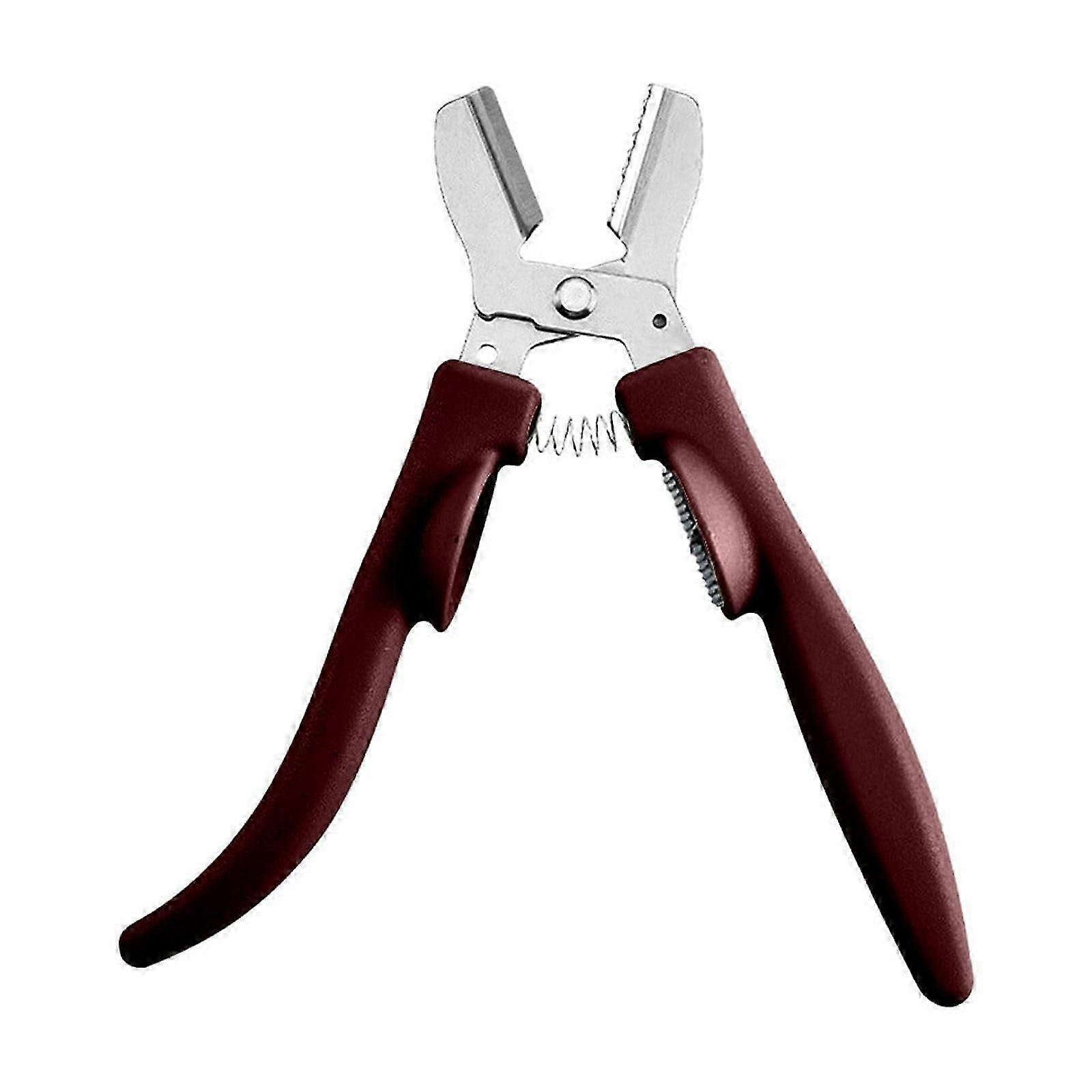 Dual-Function Stainless Steel Nut Peeler Tool