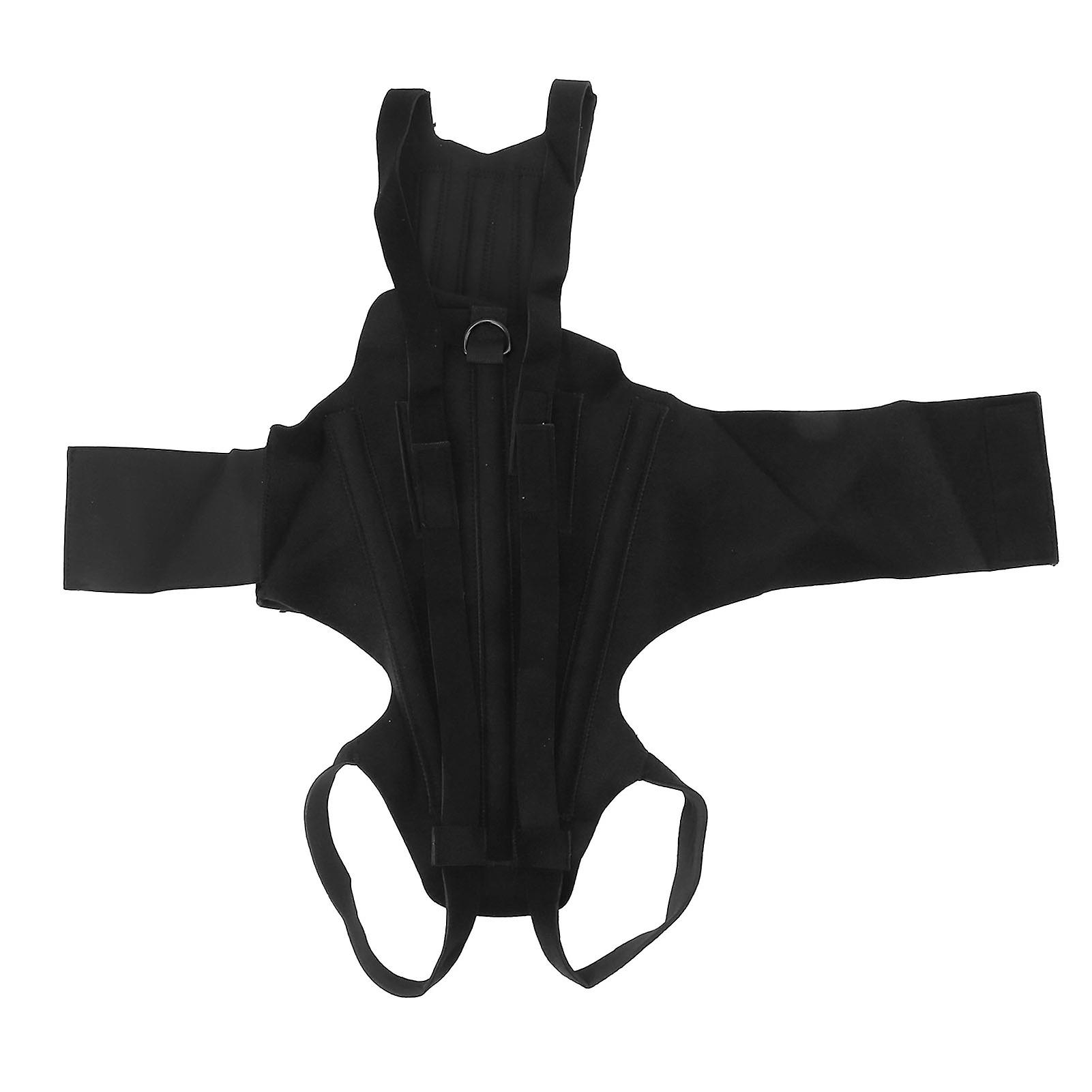 Dog Back Support Belt, Spine Surgery Recovery, Herniated Disc, Herniated Disc, Pet Back Support Belt, for Dogs with Arthritis S