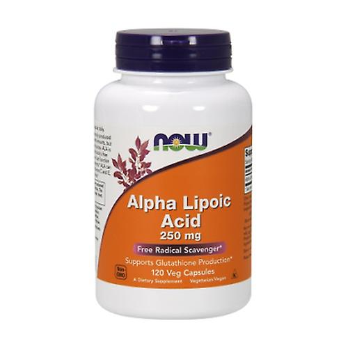 Alpha lipoic acid (ala) 250mg 120 vegetable capsules