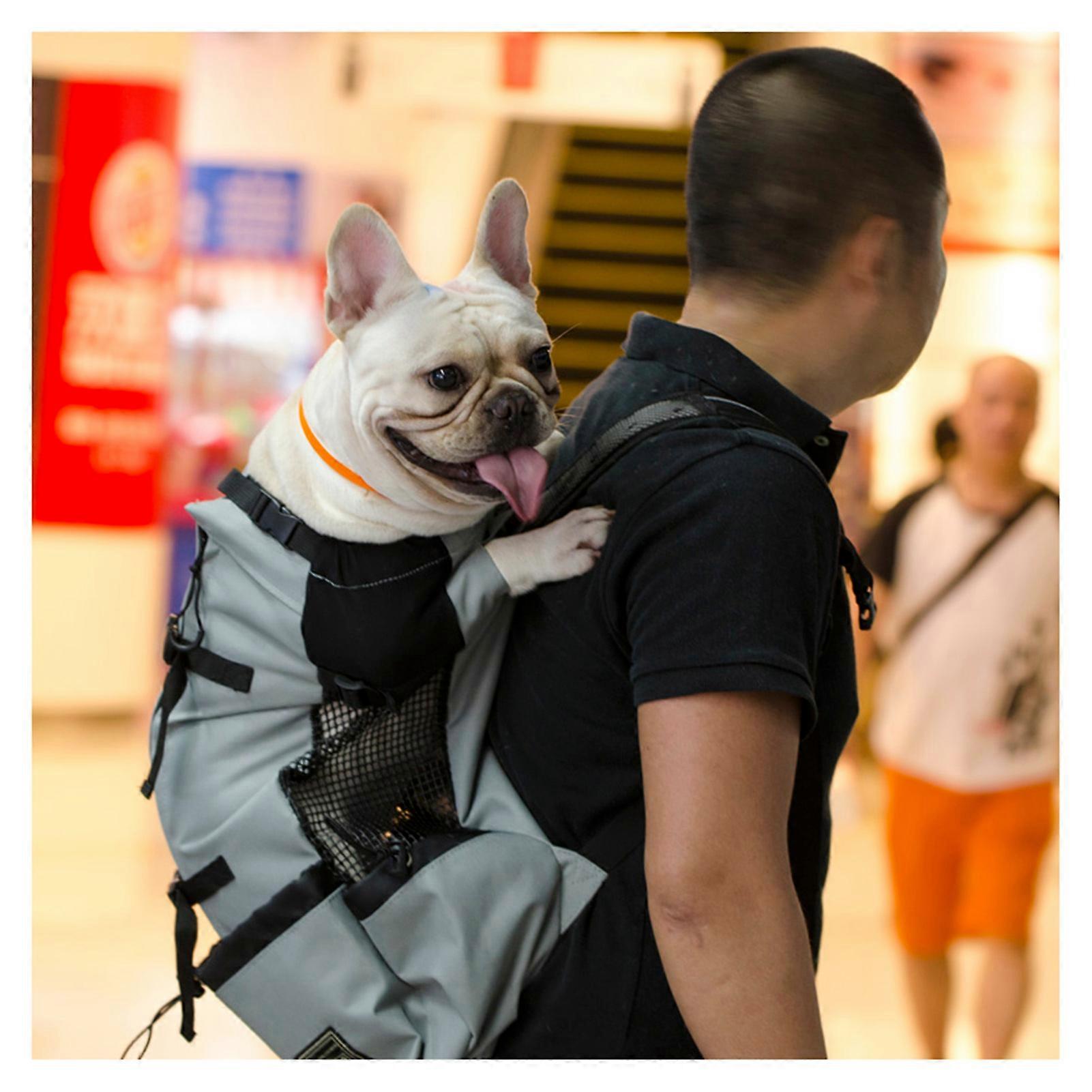 Sac Transport Chien Sac A Dos Bouledogue Bulldog Sac Transport