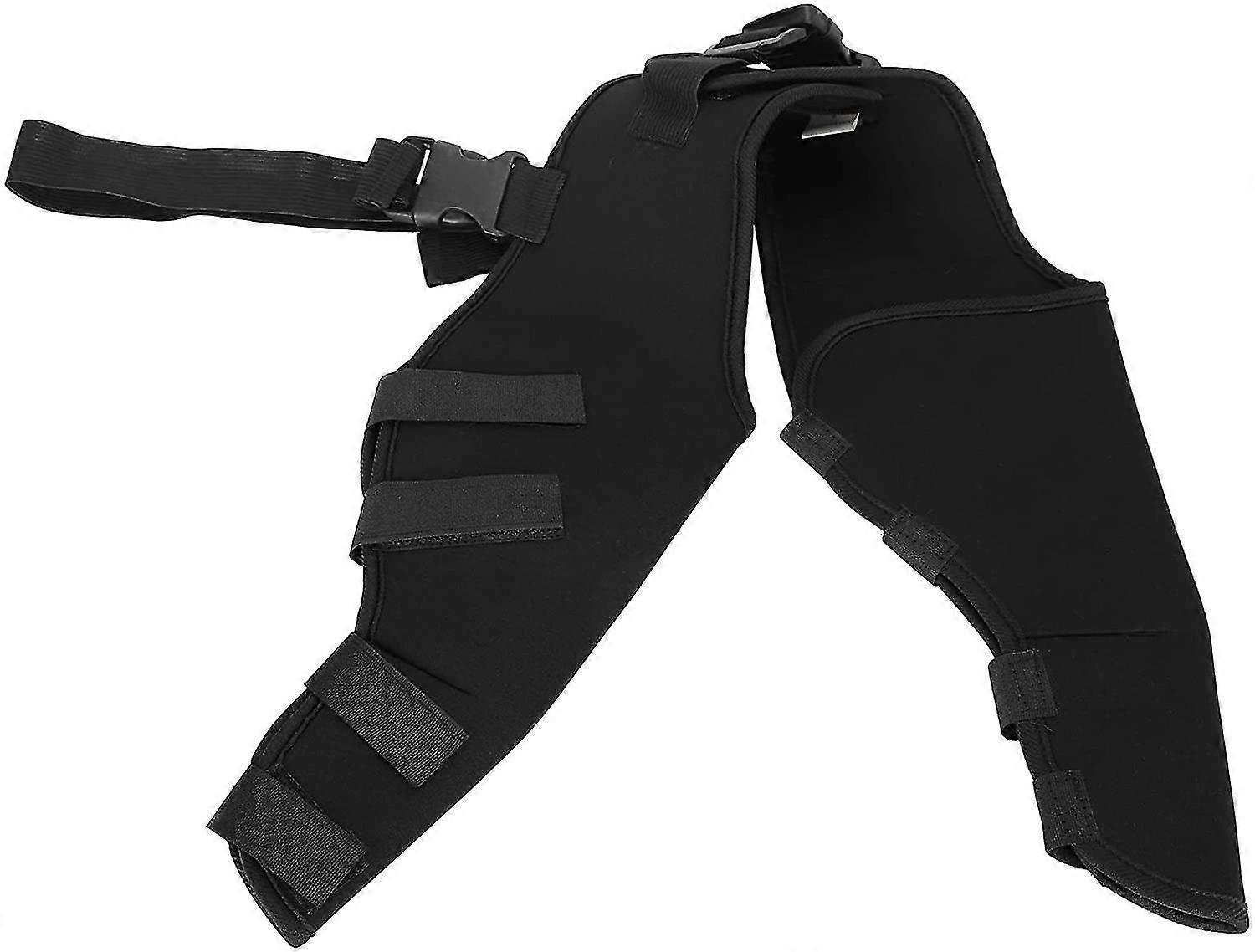 Pet Dog Hind Legs Protector