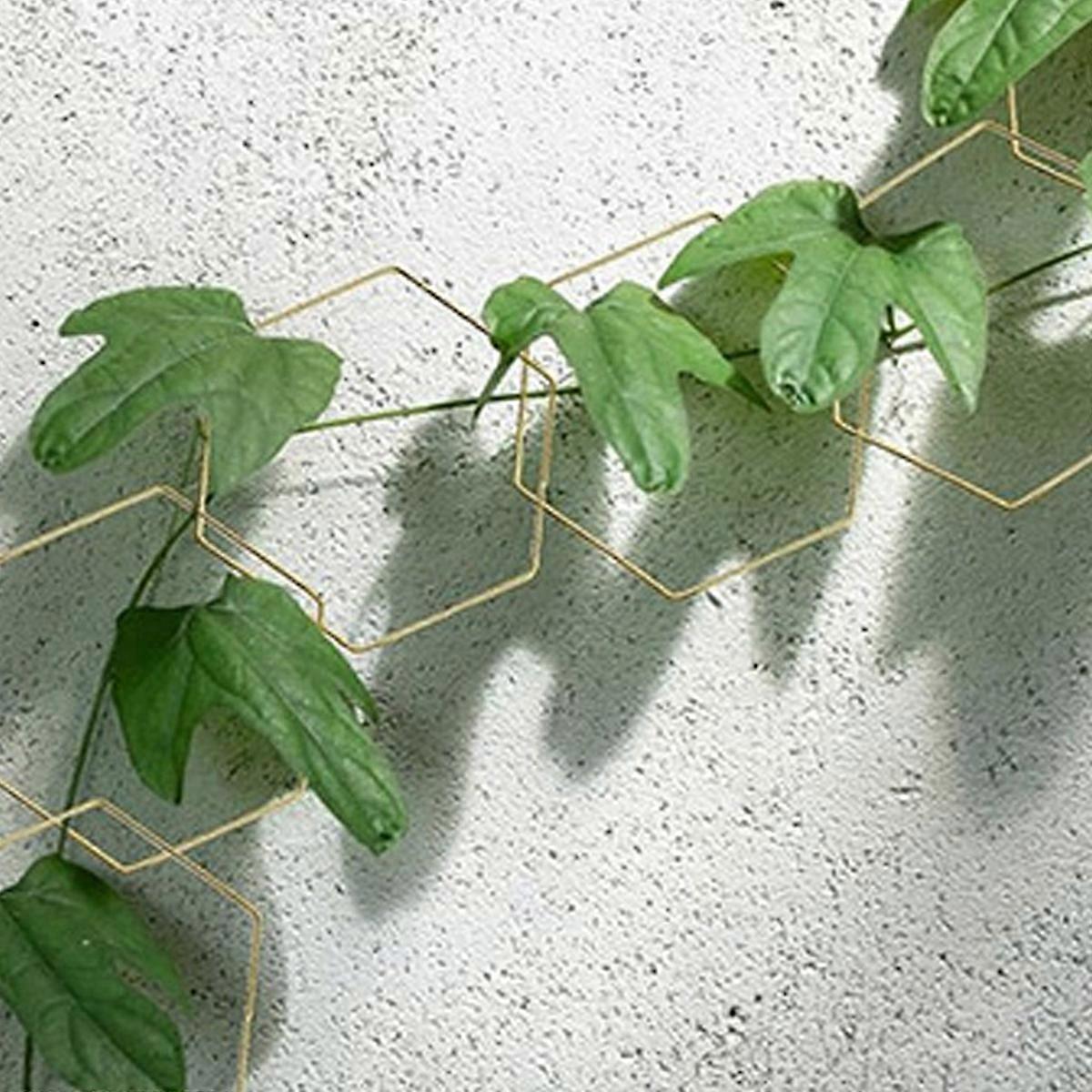 Garden Trellis, Climbing Plants, Wall Support