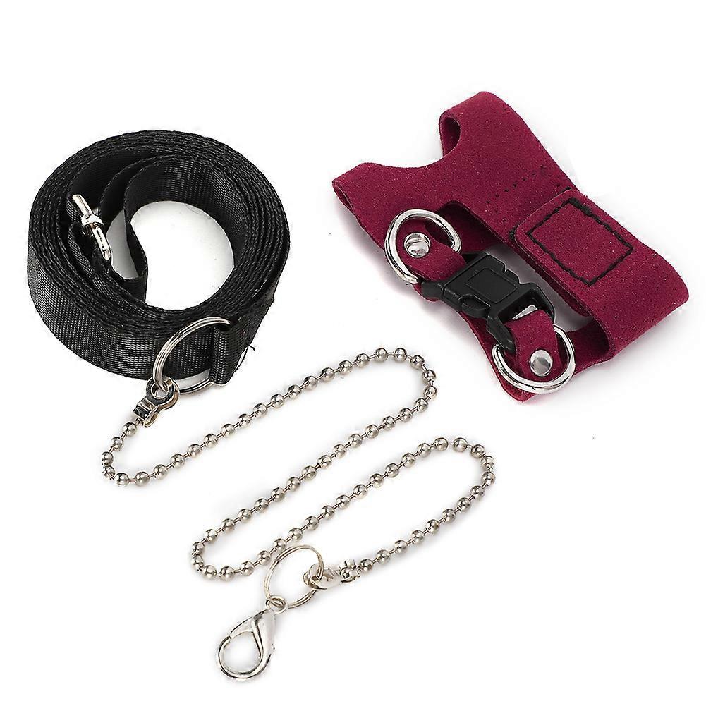 Squirrel Small Pet Adjustable Traction Rope Chest Strap Vest Harness for Training - Comfortable Fit, Durable Material, Size Medium