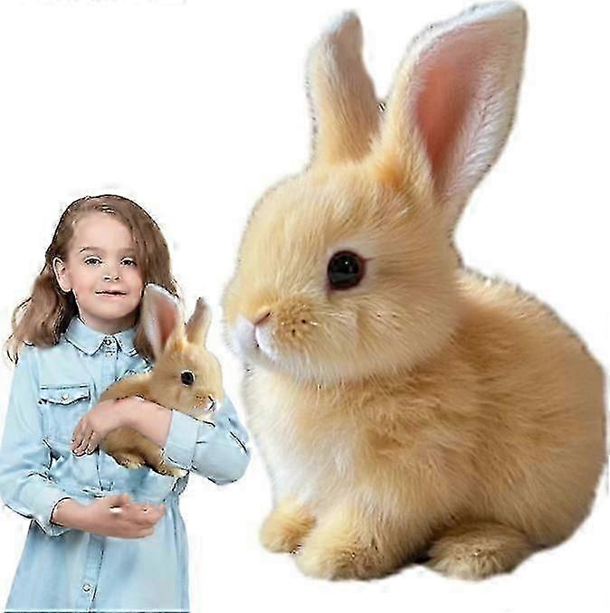 Hopping Bunny Toy,Rabbit Plush Interactive Toys,Electric Rabbit Toys