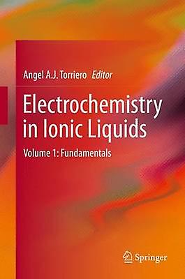 Electrochemistry in Ionic Liquids by Edited by Angel A J Torriero