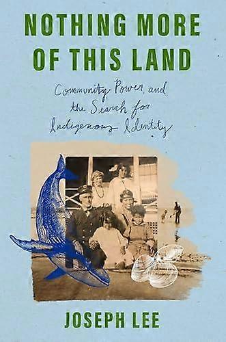 Nothing More Of This Land by Joseph Lee Hardback Book