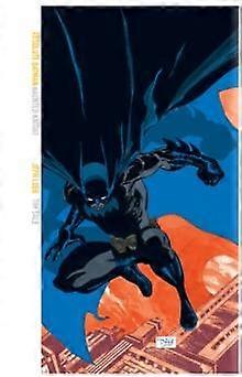 Absolute Batman Haunted Knight - Tim book - Hardback - English Book - Narrative theme: Social issues