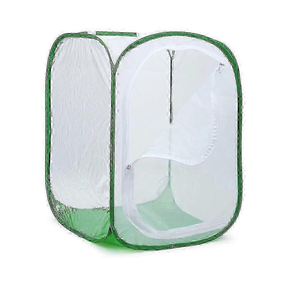 Tall Large Butterfly Habitat Cage Collapsible Terrarium Pop-up Lnches , Insect And Butterfly Net For Raising Inserts