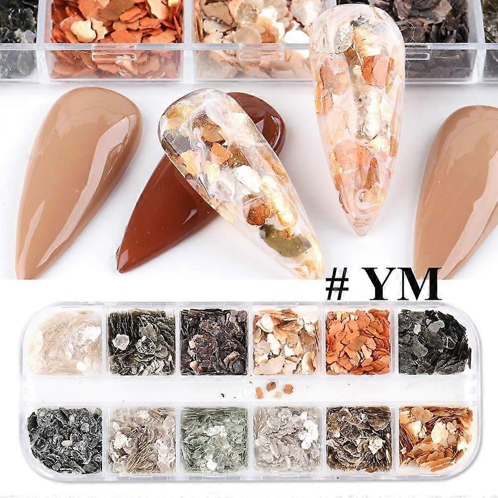 Nail Art Decorations 3D Abalone Nail Tips Iridescent Sea Shell Slices 12 Grids Set